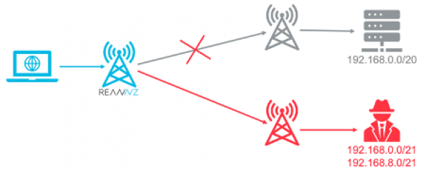 Diagram showing route hijacking with more specific routes