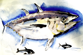 ScalingSeas CaseStudy Nov2025